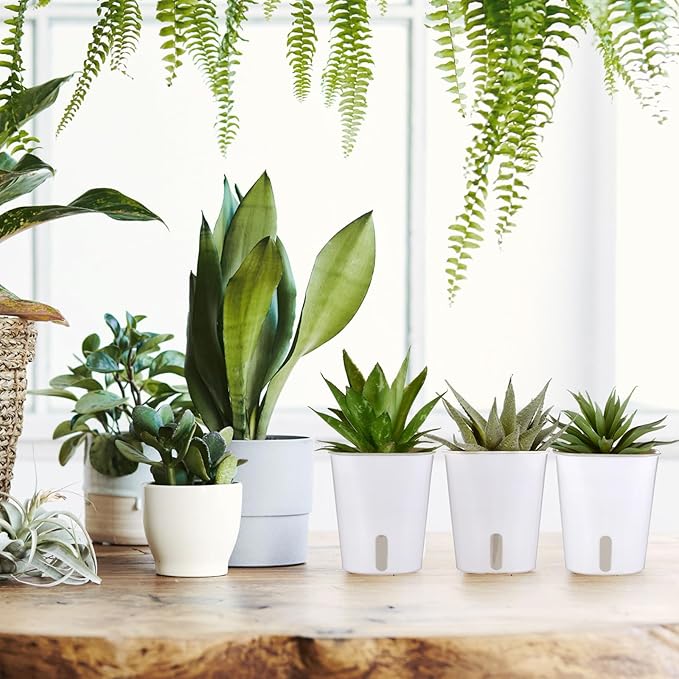 30 Pcs 3 Inch Self Watering Pots Self Watering Planters for Indoor Planters Plastic Garden Flower Pots with Level Indicator Vents for Herbs Ziliny