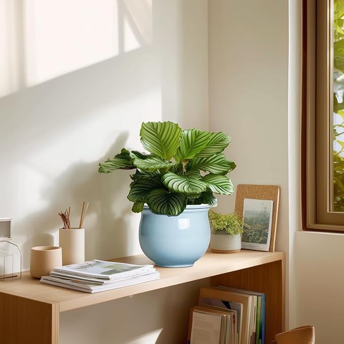 Ceramic African Violet Pots for Indoor Plants, 6 Inch Self Watering Planters with Absorbent Inner Pot, Self Watering Plant Pot, Ceramic Flower Pots, Desk Decor, Housewarming Gifts, Light Blue Teagas