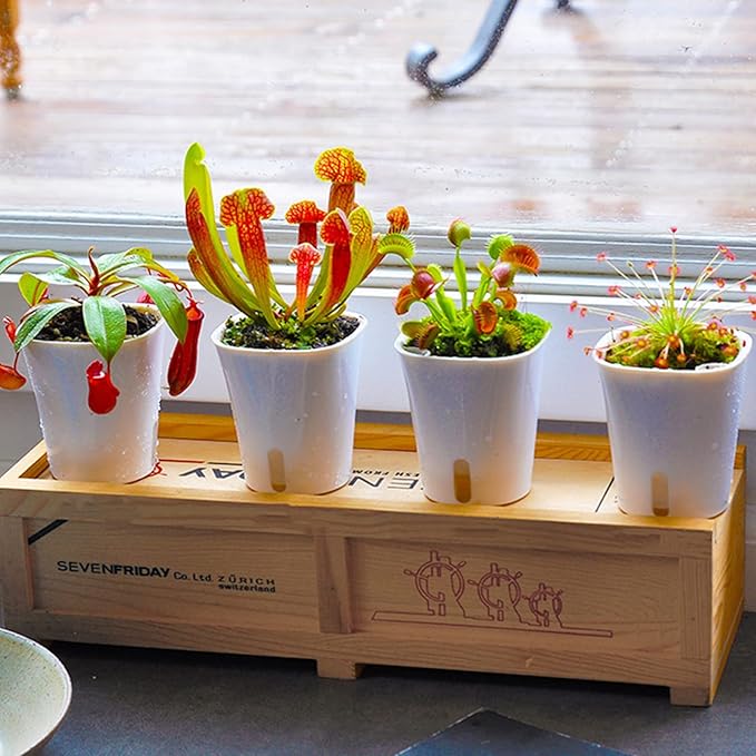 3" Self Watering Pots,20 Sets Self Watering Planter Pots for Indoor Plants with Water Level Indicator and Multiple Vents,Self Watering Planters,Self Watering Plant Pot for House Plants,Flowers,Herbs TCBWFY