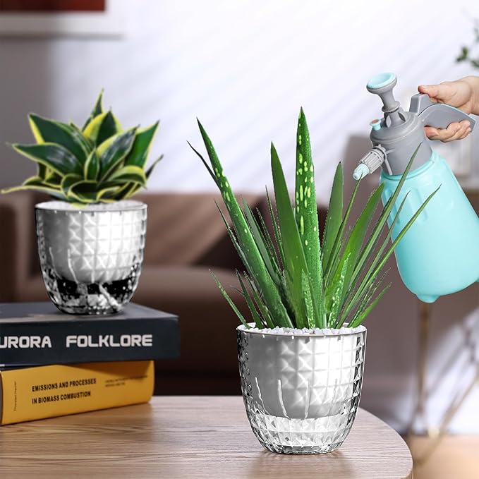 Self Watering Pots for Indoor Plants, Flower Pots, Self Watering Plant Pot-6pcs 4inch Clear Etvski
