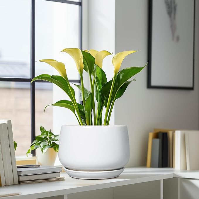 G EPGardening Ceramic Planter 9 Inch - Plant Pots with Drainage and Ceramic Saucer, Flower Pots for Indoor Plants, Modern Outdoor Planter, Living Room Decor, Gifts for Plant Lovers, White GEPGardening