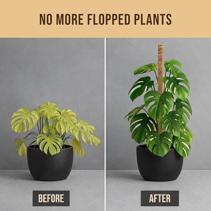 Moss Pole Monstera Plant Support – 2 Pack 28” Bendable Moss Pole Monstera Plant Support, Plant Stakes for Indoor Plants, Tall Plant Sticks Support for Climbing Plants Craft911byLIME