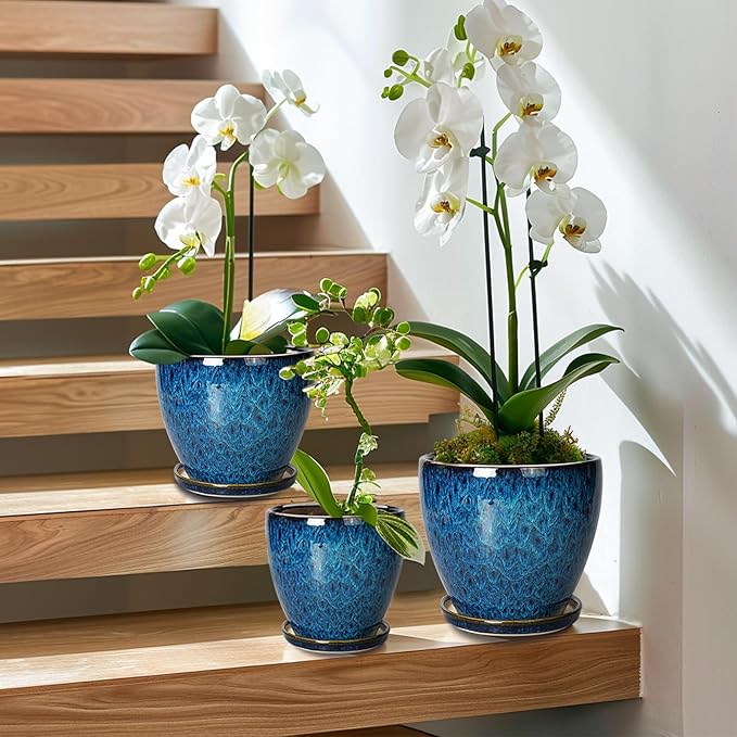 Ceramic Plant Pot, 6.3 Inch Ceramic Planter Pot with Drainage Hole and Saucer, Succulent Round Flower Pot for Indoor Plants Outdoor, Blue EPFamily