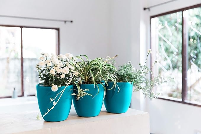 GARDENIX DECOR Self Watering Pots for Indoor Plants 3 Pack - Flower Pot with Water Level Indicator for Plants, Grow Tracking Tool - Self Watering Planter Plant Pot - Coco Coir - Teal Rootora