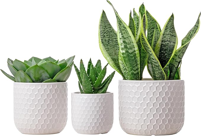 Docrin Plant Pots Indoor with Drainage: 6.4+5.3+4 Inch Ceramic Flower Pots for Plants - Set of 3 Modern Decorative Planters for House/Office/Gift - White Honeycomb DOCRIN