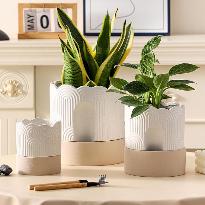 Nihow Self Watering Plant Pot for Indoor Plants: 4.5+6 Inch Ceramic Planter with Drainage Hole & Water Storage Plus - Cylinder Flower Pot with Wick for Herbs -Beige & Nature Nihow