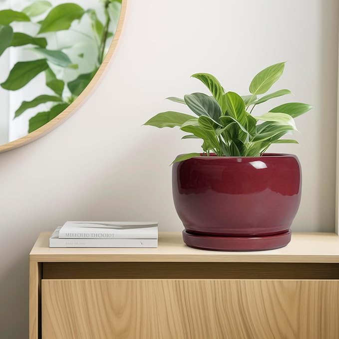 SQOWL Ceramic Pot for Plants - 10 Inch Indoor Planter with Drainage Hole and Saucer, Round Modern Planter Outdoor, Decorative Large Plant Pot for Flower, Living Room Decor, Garden Gifts, Red SQOWL