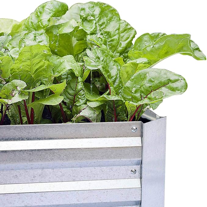 Galvanized Raised Garden Beds for Vegetables Large Metal Planter Box Steel Kit Flower Herb, 8x4x1ft FOYUEE