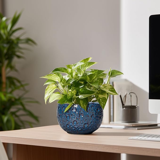 6 Inch Plant Pot - Ceramic Pots for Plants with Drainage Hole, Round Orchid Pot, Unique Planter for Indoor Outdoor, Modern Decorative Flower Pots, Room Decor, Plant Lovers Gifts, Retro Blue Thirtypot