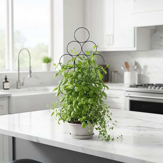 Plant Trellis for Climbing Plants Indoor Outdoor, Trlzey 3 Pack Stackable Metal Trellis - Small Garden Trellis for Potted Plants, Vine Support for Ivy, Flowers, DIY Home Deco Trlzey