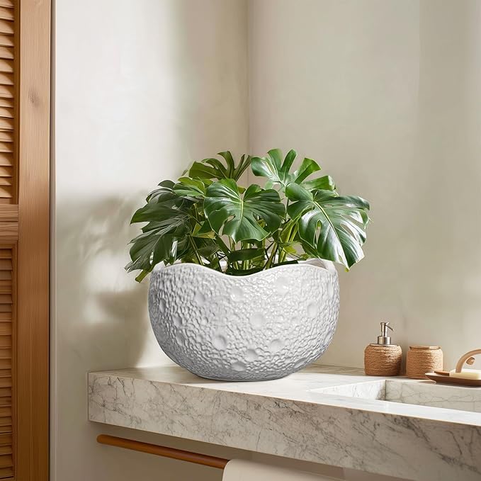 10 Inch Plant Pot - Ceramic Planter for Indoor Outdoor, Round Bonsai Pots, Decorative Flower Pots with Drainage Hole, Modern Unique Planters, House Decor, Home Gifts, White Thirtypot