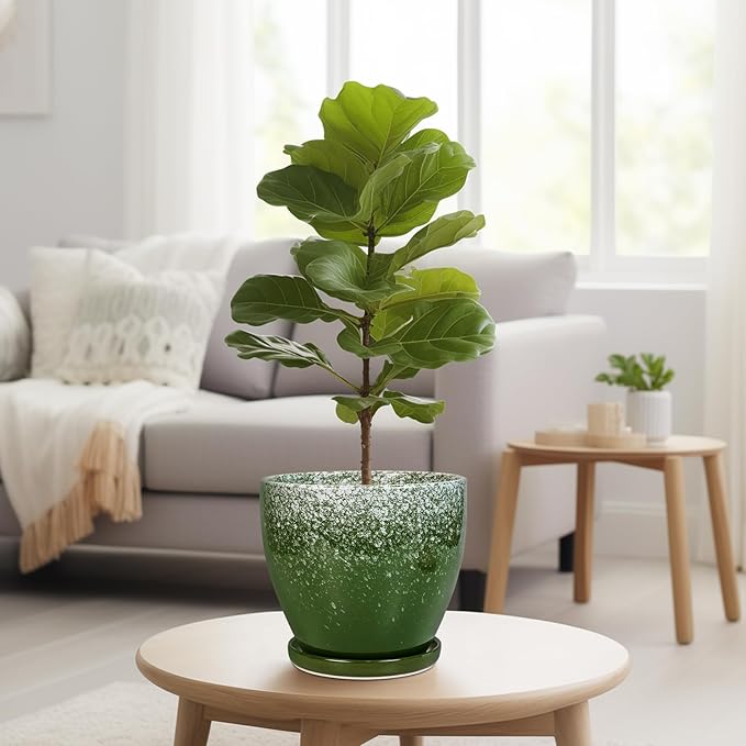 Ceramic Pots for Plants - 8 Inch Planter for Indoor Outdoor Plants, Round Planter, Large Flower Pot with Drainage and Saucer, Home Room Garden Office Decor, Birthday Gifts, Green EPFamily