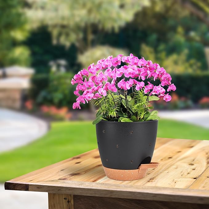 6 Inch Orchid Pots with Holes, 2 Pack Self Watering Planters for Orchids Plastic Orchid Pot Plant Flower Pots for Orchids Indoor Outdoor (Black with Brown) Vanslogreen