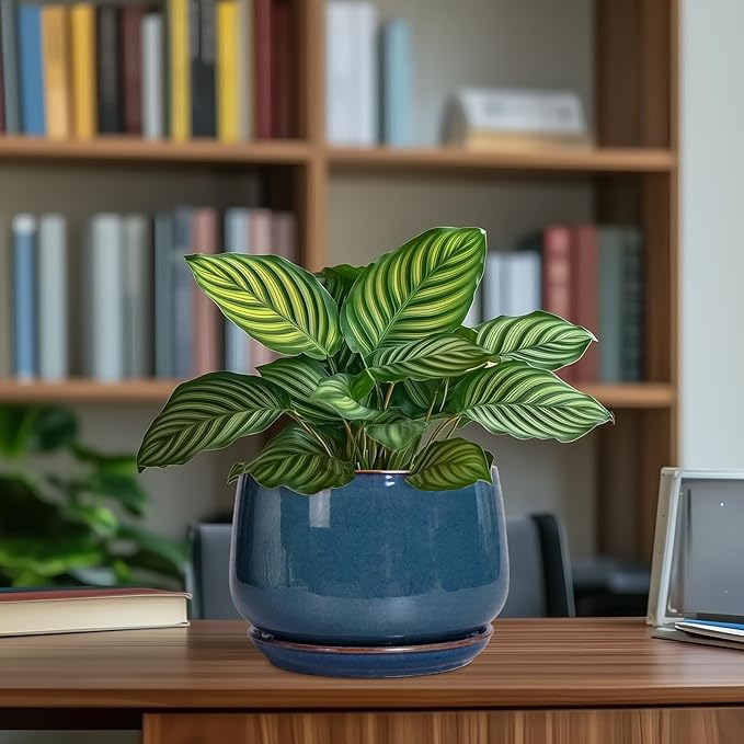 G EPGardening Ceramic Pot for Plants - Modern 7 Inch Round Planter with Drainage and Tray Indoor Outdoor for Flower, Porch Decor, Gardening Gifts, Retro Blue GEPGardening