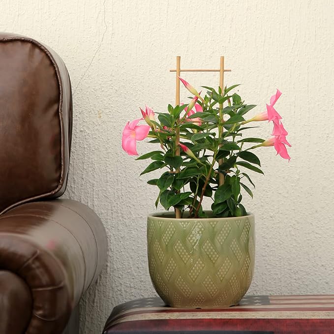 3Pack Bamboo Trellis 16 Inch Ladder Shaped Small Plant Trellis for Indoor Potted Plants Climbing Monstera Orchid Vine Hoya Houseplant Coloringyourleisuretime