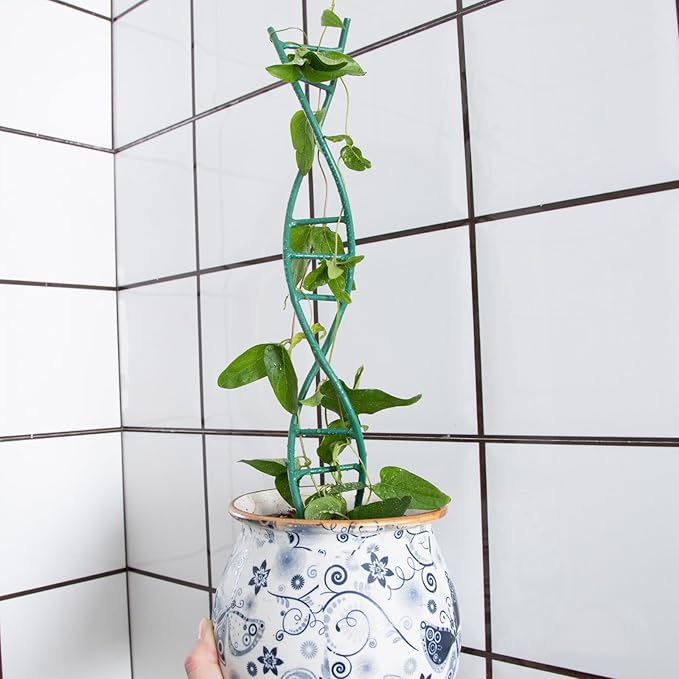 Indoor Plant Trellis - DNA Spiral Design Metal Trellis for Potted Plants, Stylish Climbing Support for Small Houseplants, Durable & Easy to Install Garden Upgrade for Vining Plants Goooxim