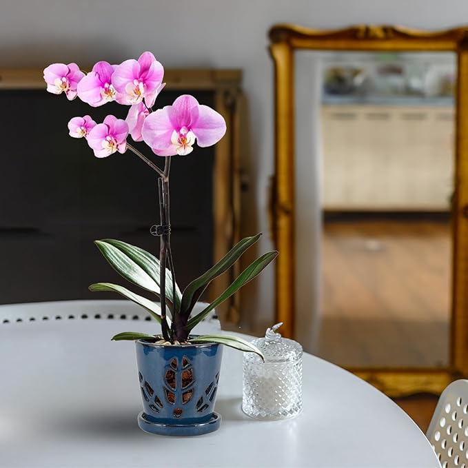 W&W Orchid Pot with Holes and Saucer for Repotting, Blue, 5.5 Inch WWHomeDecor