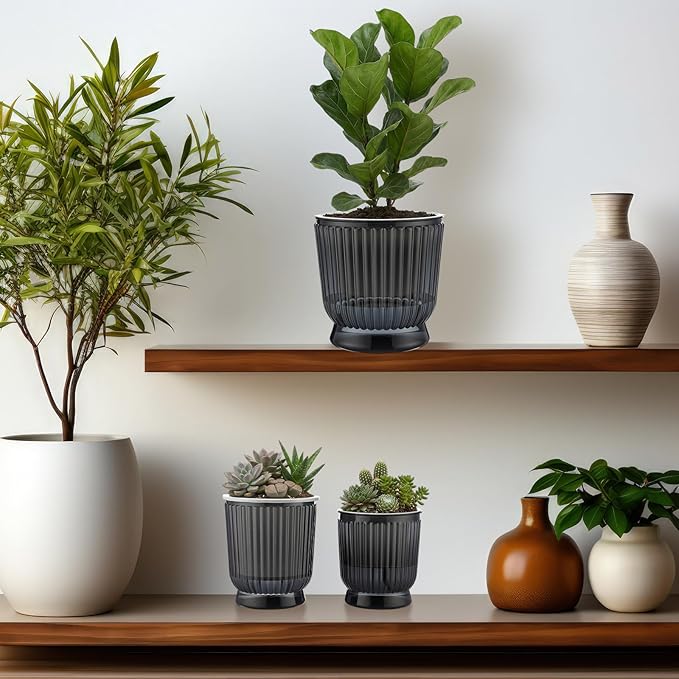 Set of 6 Self Watering Plant Pot 3 Sizes Plastic Double Layer Self Watering Flower Pot with Multi Mesh Drainage Holes Wicking Reservoir for Indoor Outdoor Garden Plants(Black) Rootora