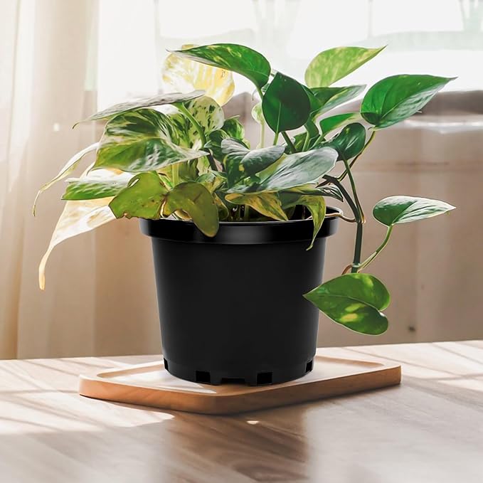 GREANER 2 Gallon Nursery Pots for Plants, 10 PCS Plastic Plant Pot with Drainage Holes for Indoor Outdoor, Garden, Greenhouse(Black) GREANER
