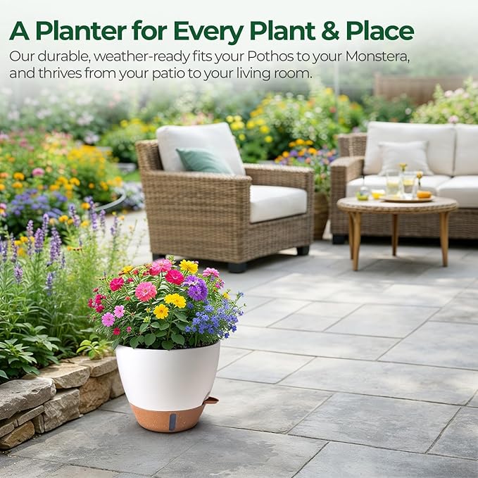 2 Pack 10 Inch Self Watering Pots - Water Level Indicator & Deep Reservoir, Mess-Free Planter for Busy People, Beginners & Gardeners, Fiddle Leaf Fig, Monstera, ZZ Plants, Indoor Outdoor Use (White) T4U