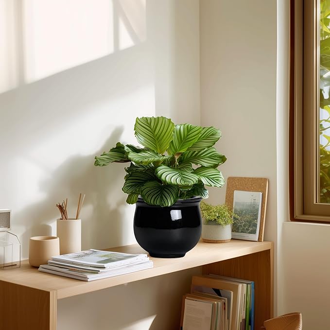 Ceramic African Violet Self Watering Pots, 6 Inch Self Watering Plant Pot with Absorbent Inner Pot, Flower Pots for Indoor Plants, Round Ceramic Planter, Home Decor, Plant Lover Gifts, Black Teagas