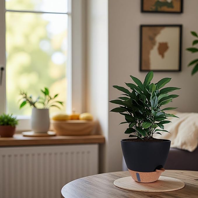 Self-Watering Plant Pots for Indoor Plants: 8/10/12 Inch Large Plastic Planter with Water Level Indicator, Drainage Holes & Deep Reservoir, Modern Decorative Flower Pot (Black) THEJIYUE