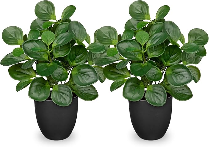 14.5" Artificial Plants Indoor Home Decor, Fake Potted Silk Plants for Shelves Living Room Decor, Small Artificial Office Desk Plants in Pots, Faux Peperomia Hope Tropical House Plant, Sets of 2 VillaComo