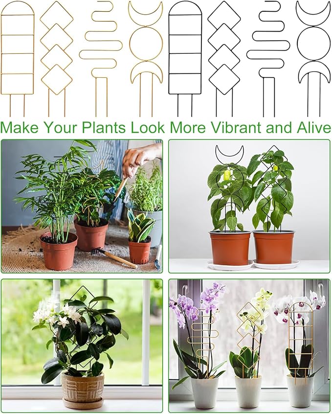 4 Pack Indoor Climbing Plant Trellis, Small Trellis for Potted Plants Outdoor, Metal Garden Trellis Plant Support Trellis with Different Patterns for Vine Ivy Flower (Golden) Whtawtaw