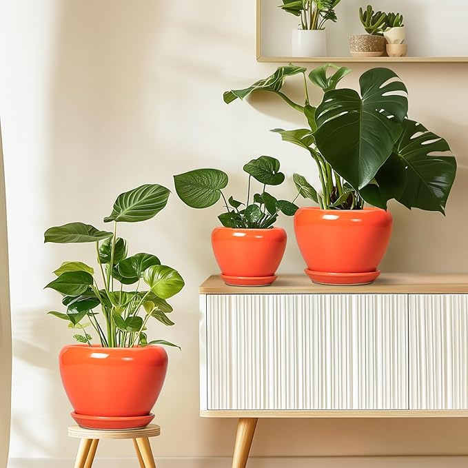 Indoor Plant Pot 8 Inch - Ceramic Plant Pot with Drainage Hole and Saucer, Glaze Decorative Modern Round Planter for Outdoor Plants, Housewarming Gifts, Office Home Garden Decor, Orange Ceramicfor