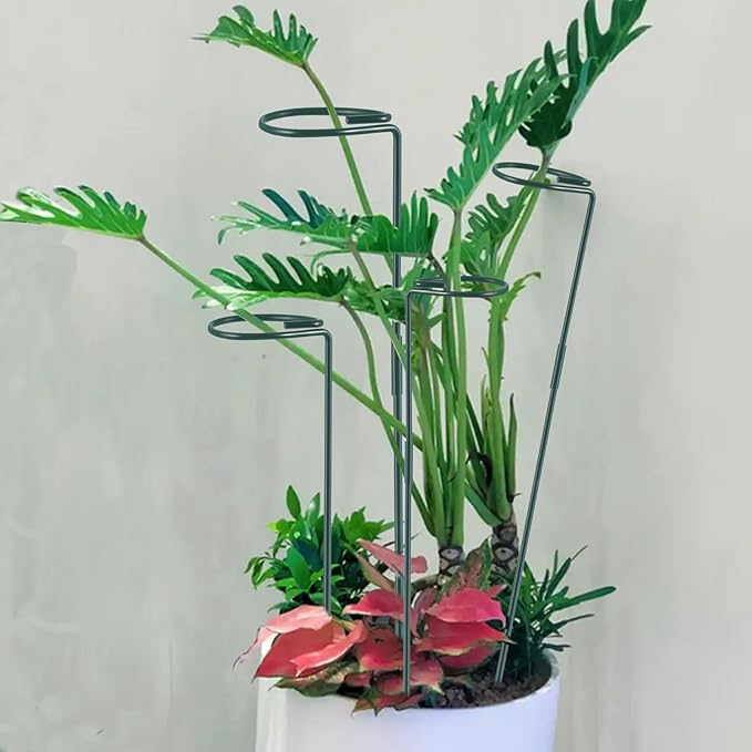 Plant Stake Support - 6 Pack Adjustable Height 16" or 30", Garden Support Stake Plant Cage Support Rings, Single Stem Plant Support Stakes, for Flowers Amaryllis Tomatoes Peony Lily Rose (30inch) RAIKEDR