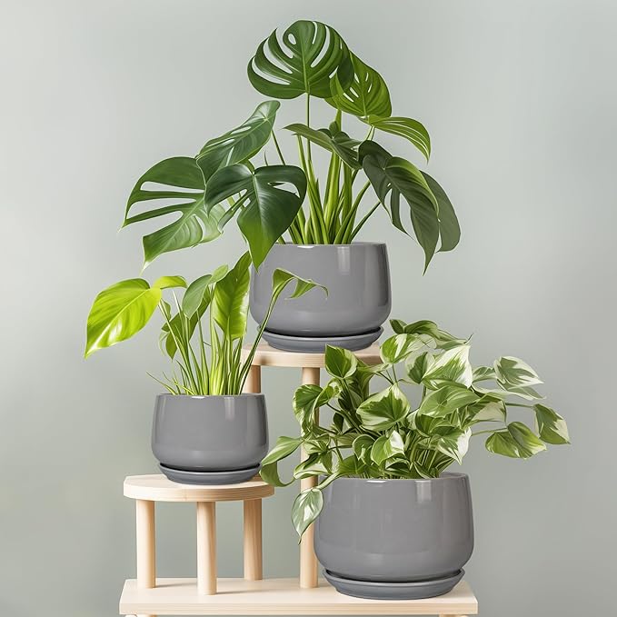 G EPGardening Modern Ceramic Planter - 7 Inch Round Modern Plant Pot Indoor with Drainage and Ceramic Tray Indoor Outdoor for Flower, Vanity Decor, Birthday Gifts, Grey GEPGardening