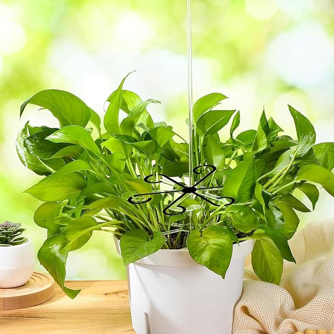 4Pcs Plastic Plant Climbers Stem Holders, Black Climbing Houseplant Stem Supports, 2 Sizes Reusable Flower Plant Stakes Trellis Hook for Indoor Plants Growth Accessories LUOTIVON