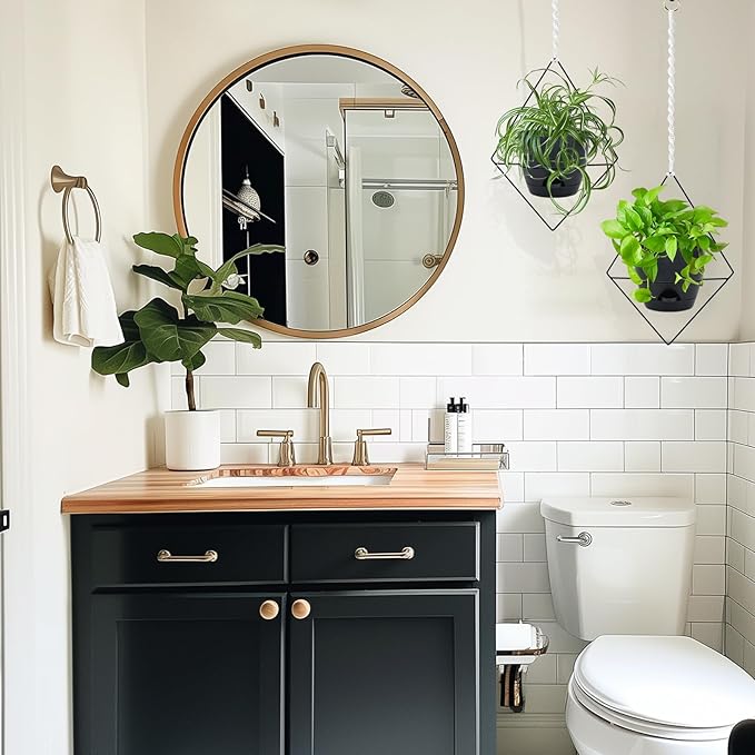 Hanging Planters for Indoor Plants, 2 Set Self Watering Hanging Flower Pots, Modern Hanging Plant Baskets with Metal Plant Holder & 6.5 Inch Plastic Pots for Garden Home Decor (Black) Koalaime