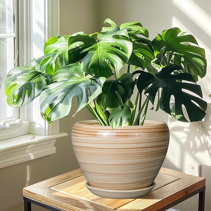 Ceramic Pot for Plant 10 Inch - Planter for Outdoor Plants Indoor Plant Pot with Drainage Hole Large Planter Round Flower Pot for House Patio Garden Yellow Ceramicfor