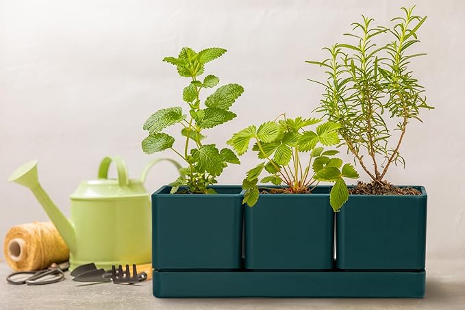 D'vine Dev Herb Garden Planter Set, Plastic Plant Pots with Drainage and Saucer, Indoor Succulent Cactus Vegetable Pot for Windowsill, Garden Balcony, Green, Set of 1, 76-V-C-1 DvineDevPlanterPotsandStand