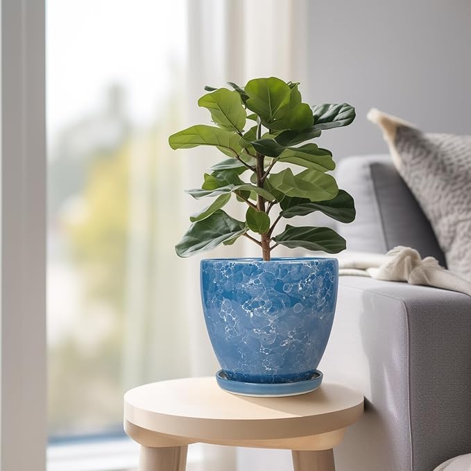Ceramic Pots for Plants - 6.3 Inch Planter with Drainage Hole and Plant Tray, Decorative Succulent Pot, Round Flower Planter for Indoor, Garden Living Room Decor, Gifts for Plant Lovers, Blue EPFamily
