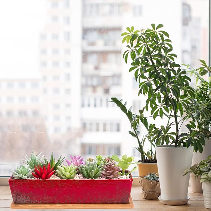 Succulent Pots - Large Succulent Planter Pots with Drainage, 12 Inch Long Rectangle Bonsai Pot with Bamboo Tray Shallow Ceramic Cactus Flower Planter Window Box for Home Garden Decor (Red) ARTKETTY