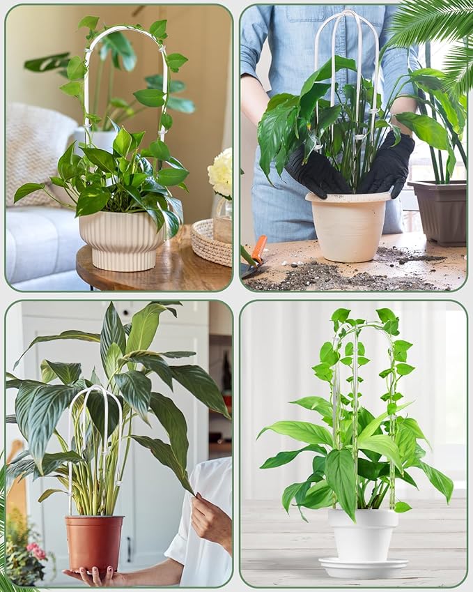 16 Inch U-Shaped Acrylic Plant Trellis, 2 Pcs Extended Hoya Trellis for Supporting Potted Climbing Plants, Small Houseplant Trellis Garden Accessory for Potted Ivy Indoor Outdoor Rootora