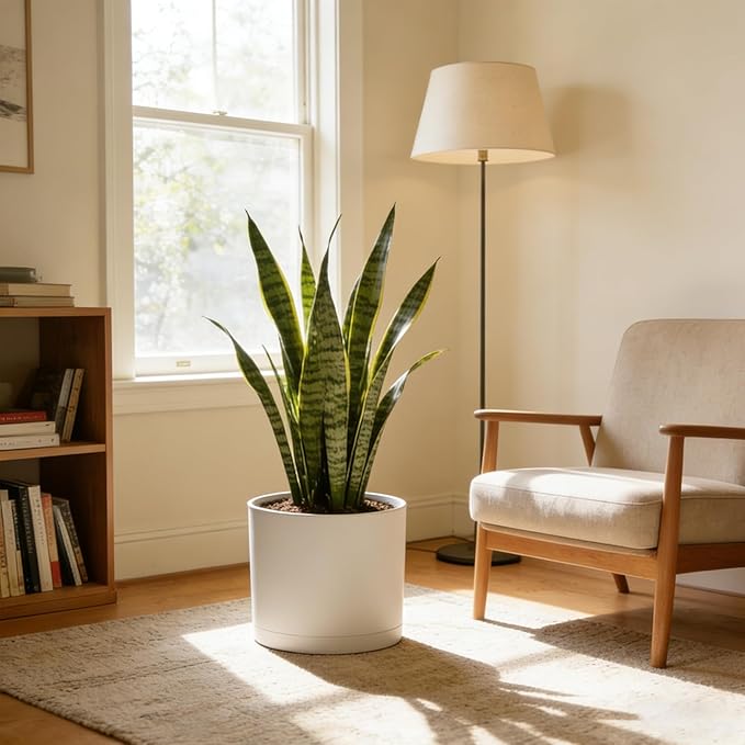 10 Inch Round Plastic Plant Pot with Drainage Holes and Saucer, Wide Flower Pots for Indoor & Outdoor Plants– 7.9" Tall Modern Cylinder Planter Pot for House Plants and Home Decorative, Matte White WSMKSZ