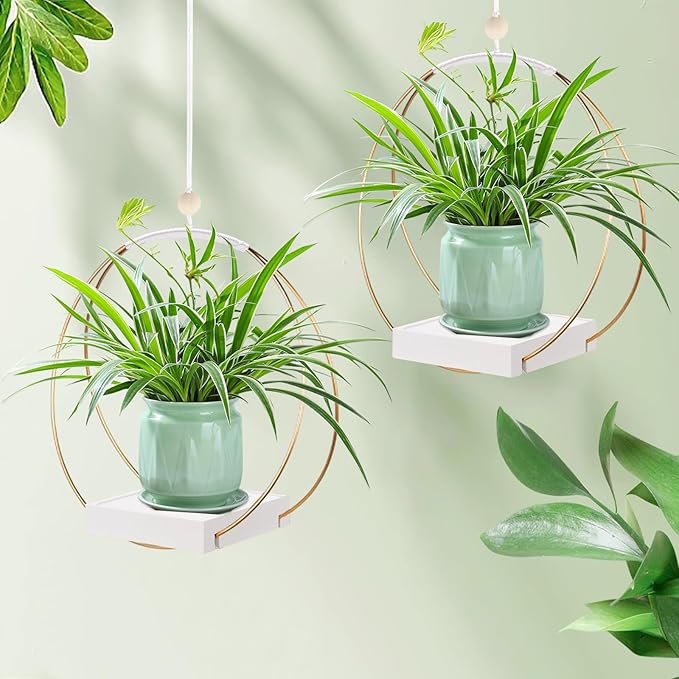 2 Pack Hanging Planter Holder for Indoor Plants, Plant Hanger with Sturdy Wood Base,Modern Boho Macrame Wall Ceiling Window Stands(Plants/Pots Not Included) hismocal