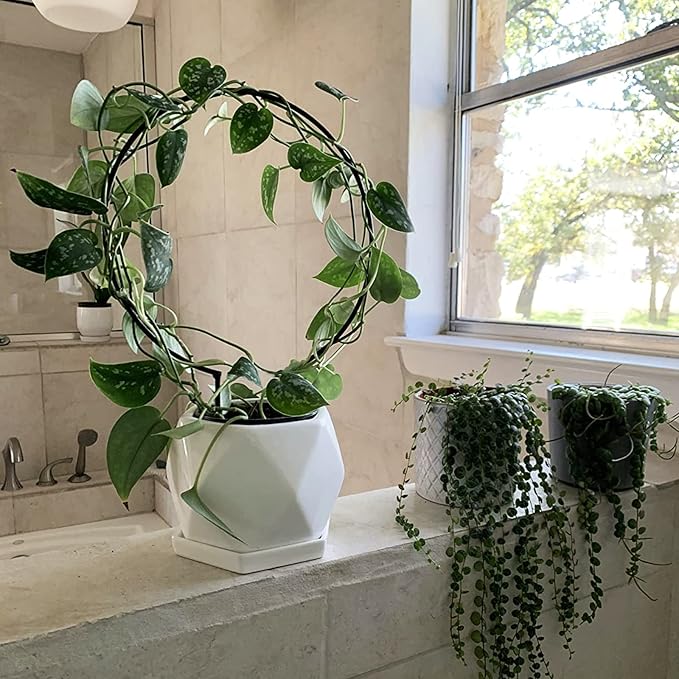 Acrux7 10 Pcs Circle Indoor Plant Trellis for Potted Plants, 10 Inch Small Hoya Trellis for Climbing Plants, Vines, Topiary Frames WelcometoAcrux7