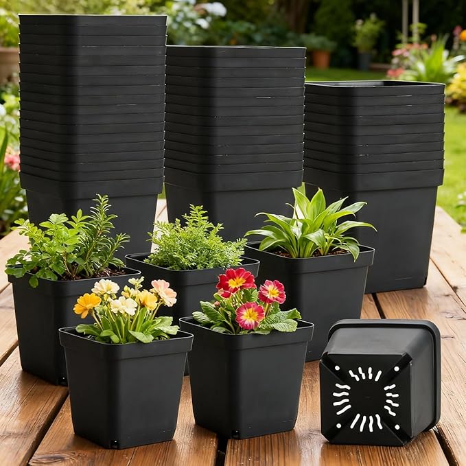 BTPLASTIK Square Nursery Pots 5.5 Inch, 50Pcs Plastic Sturdy Reusable Seedling Pots with Drainage Holes, Garden Flower Planters for Indoor/Outdoor, Transplanting, Succulents, Cuttings, Black BTPLASTIK