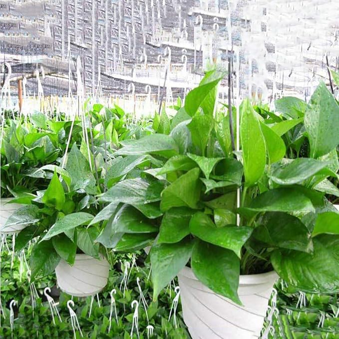 VIDELLY 4 Pieces Plastic Hanging Planters, 5.9 in Dia x 3.54 in H, Flower Plant Basket Pots Chain Holder Garden Decoration for Indoor and Outdoor Use, Red VIDELLY