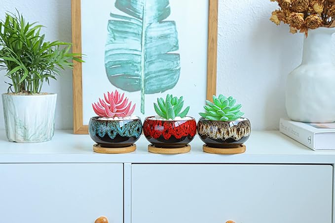Cute Ceramic Succulent Garden Pots, Planter with Drainage and Attached Saucer, Set of 5 -Plants Not Included (Round) LamDawn