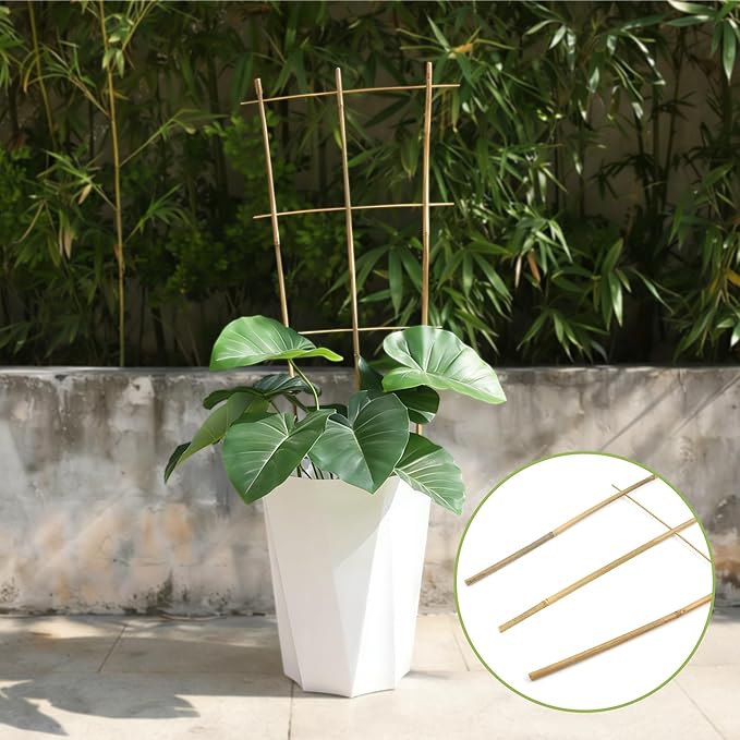 5 Pack 16" Bamboo Trellis for Climbing Plants-Natural Garden Ladder Fan -Shaped Plants Support Trellis for Potted Plant Decor in Door Biotolot