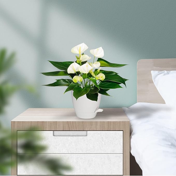 Plant Pots, 7/6.5/6/5.5/5 Inch Self Watering Planters, Pots for Indoor Plants with Drainage Hole for Succulents, African Violet (Matte White) Vanslogreen