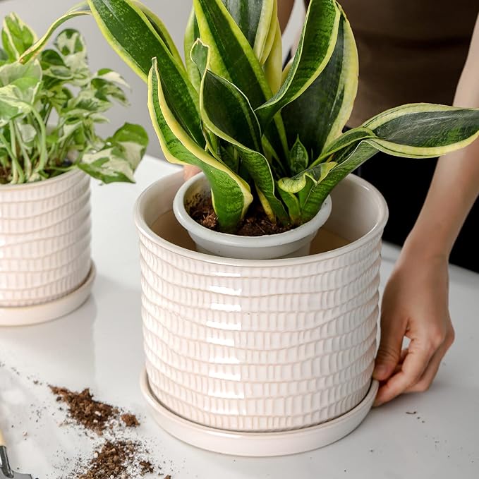 8 Inch Plant Pot: Ceramic Planter with Drainage Hole & Saucer for Indoor Outdoor Plants - Flowerpot with Bonded Tray for Home Office - Wave Embossed Chubacoo