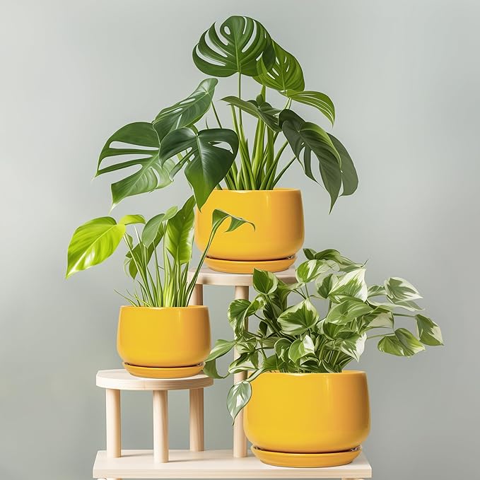 G EPGardening Ceramic Plant Pot - 6 Inch Ceramic Planter with Drainage Hole and Tray, Modern Round Planter, Flower Pot for Indoor Outdoor Plants, Plants Lovers Gifts, House Garden Decor, Yellow GEPGardening