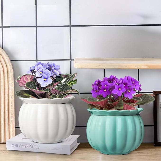 BUYMAX African Violet Pots, 6 inch Pumpkin-Style Ceramic Easy Self Watering Plant Pot for Busy Plant Lovers, Automatically Absorb Appropriate Amount of Water, Flower Pot Indoor-Plants Not Included BUYMAX
