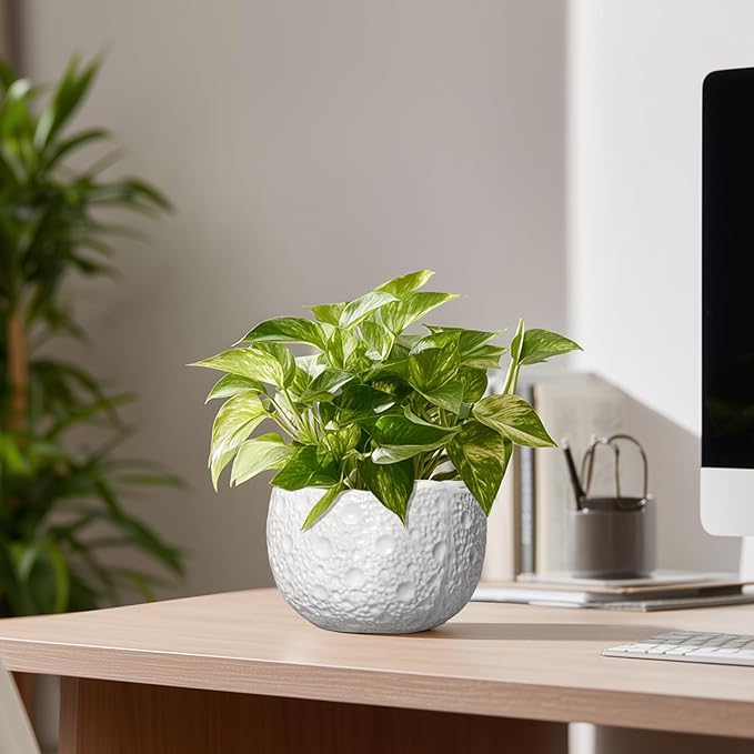 Ceramic Pots for Plants - 6 Inch Plant Pot for Indoor Outdoor, Decorative Orchid Pots with Drainage Hole, Unique Round Modern Planters, Home Decor, Gifts for Plant Lovers, White Thirtypot